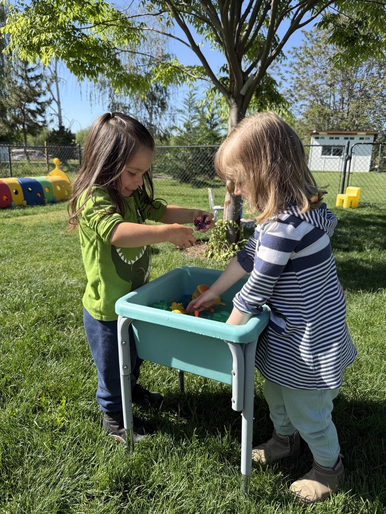 Two girls playing at a water table on the sunny backyard lawn, with the caterpillar tunnel behind them